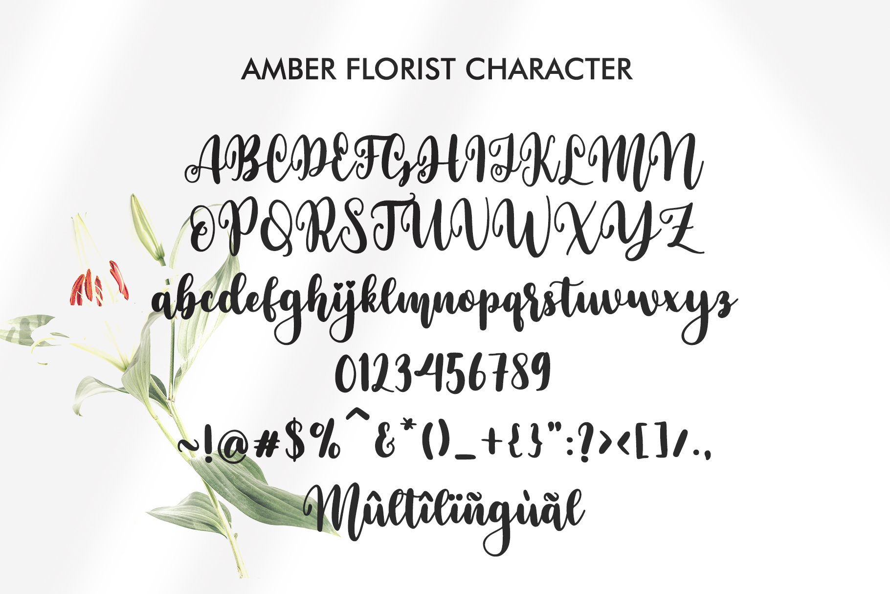 amber florist 6 325