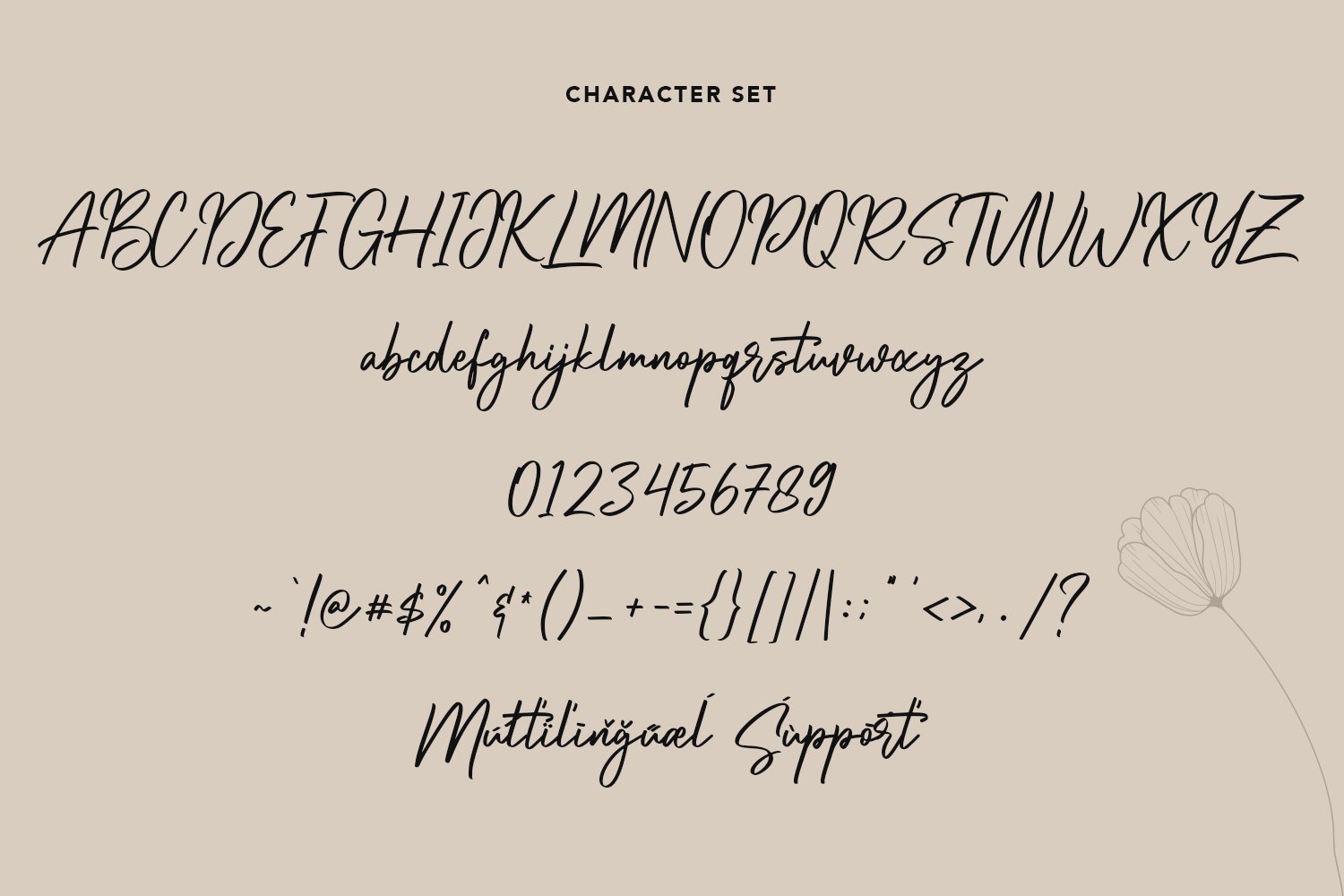 amorflavor script font 10 325