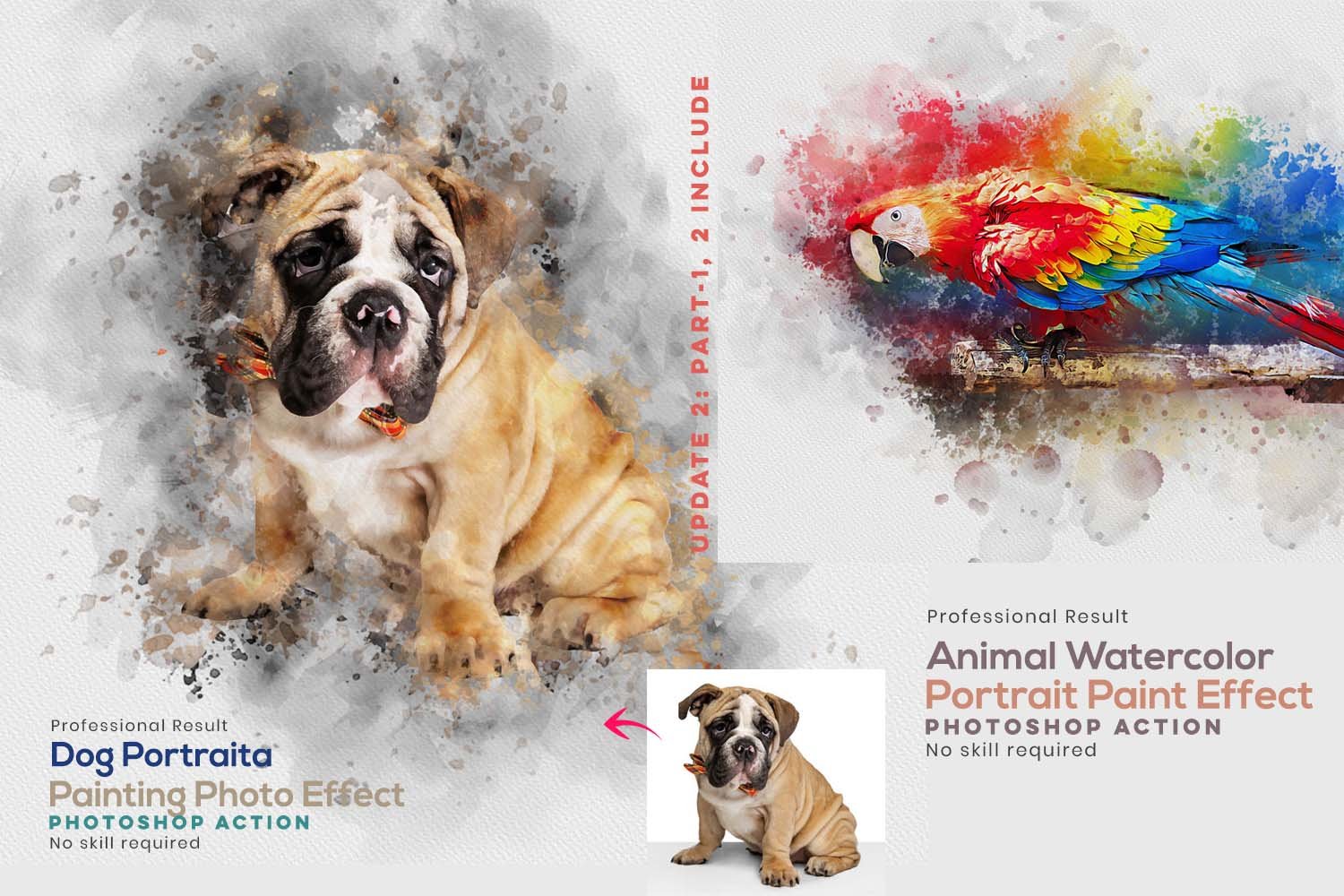 Dog Watercolor Paintingcover image.