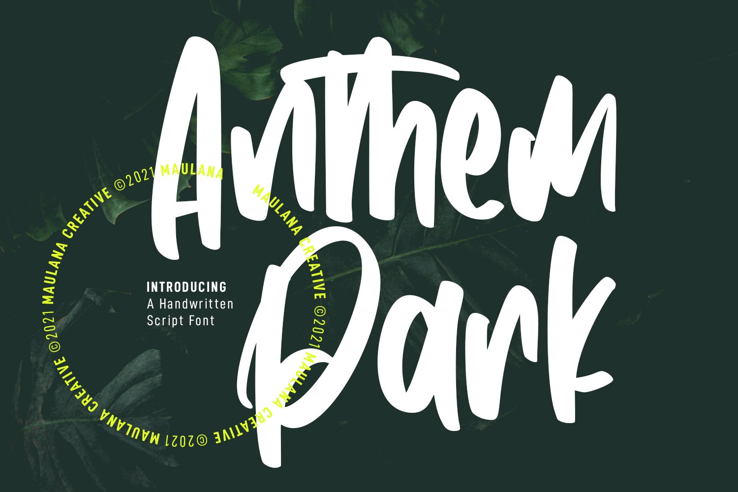 Anthem Park Handwritten Script Font cover image.