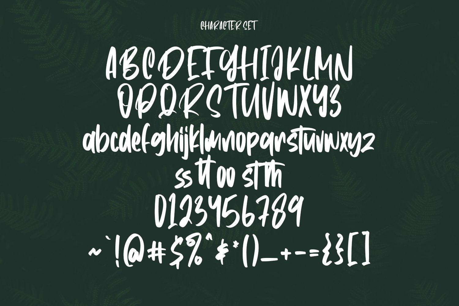 Anthem Park Handwritten Script Font preview image.