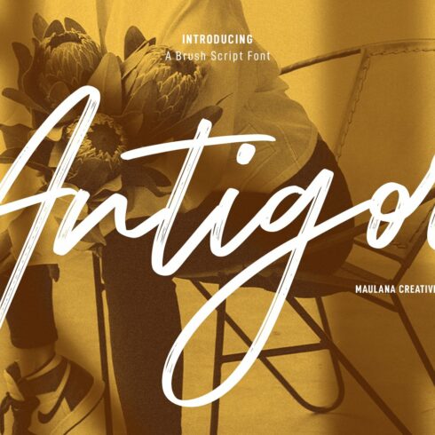 Antigor Brush Script Font cover image.