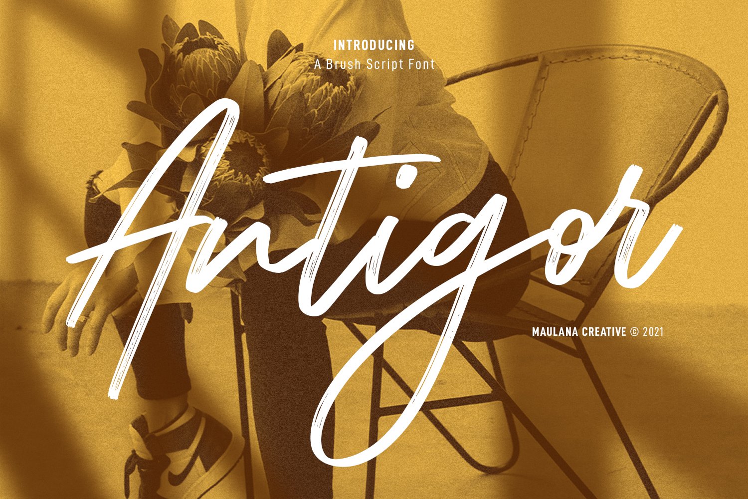 Antigor Brush Script Font cover image.