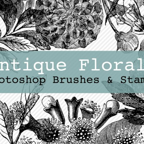 Antique Florals PS Brushes & Stampscover image.