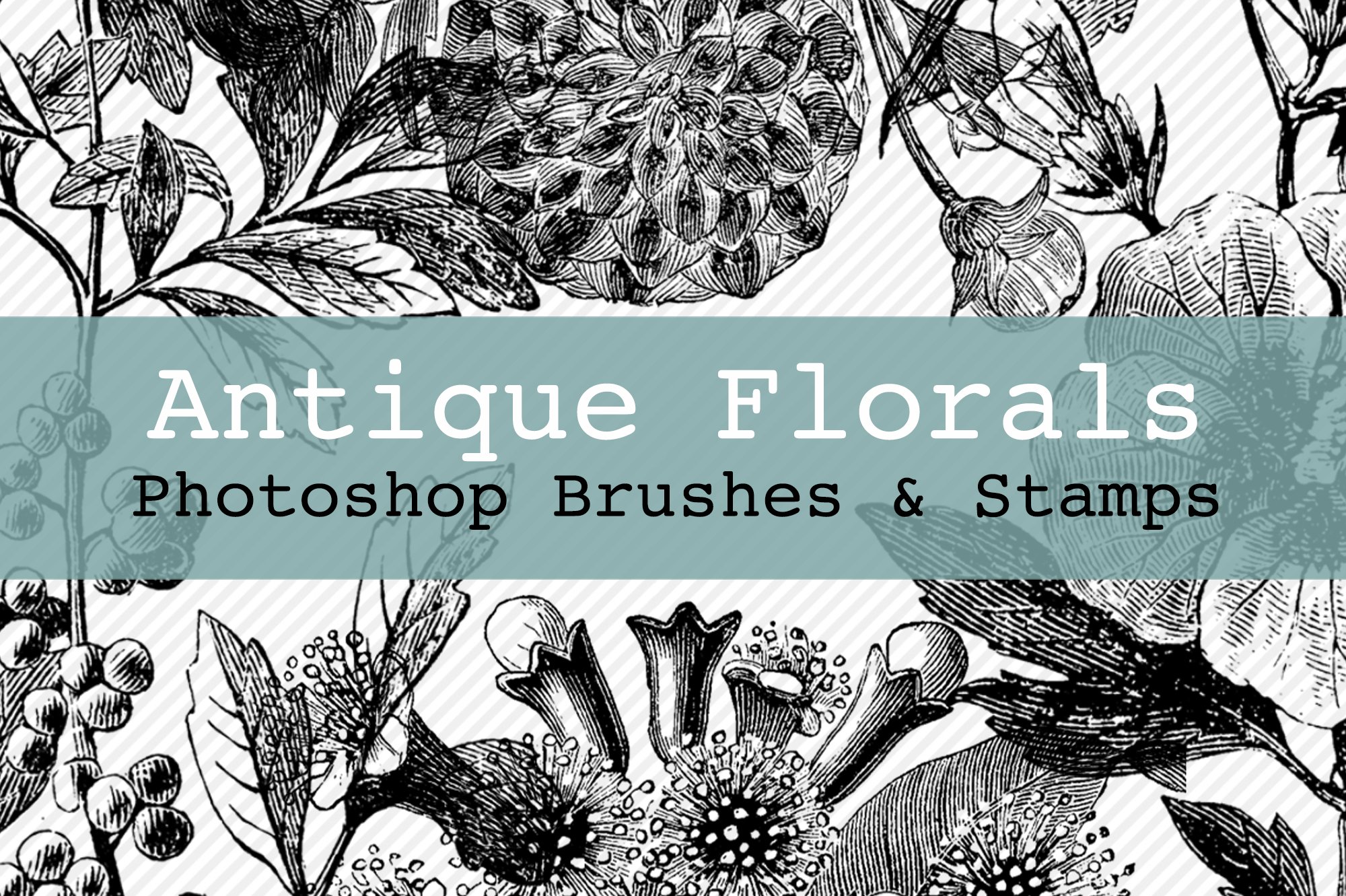 Antique Florals PS Brushes & Stampscover image.