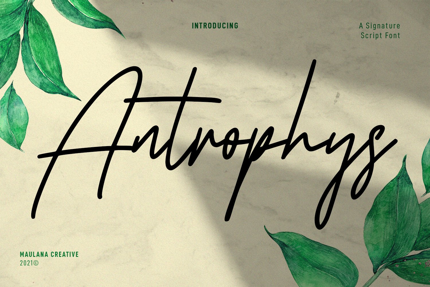 antrophys preview1 141