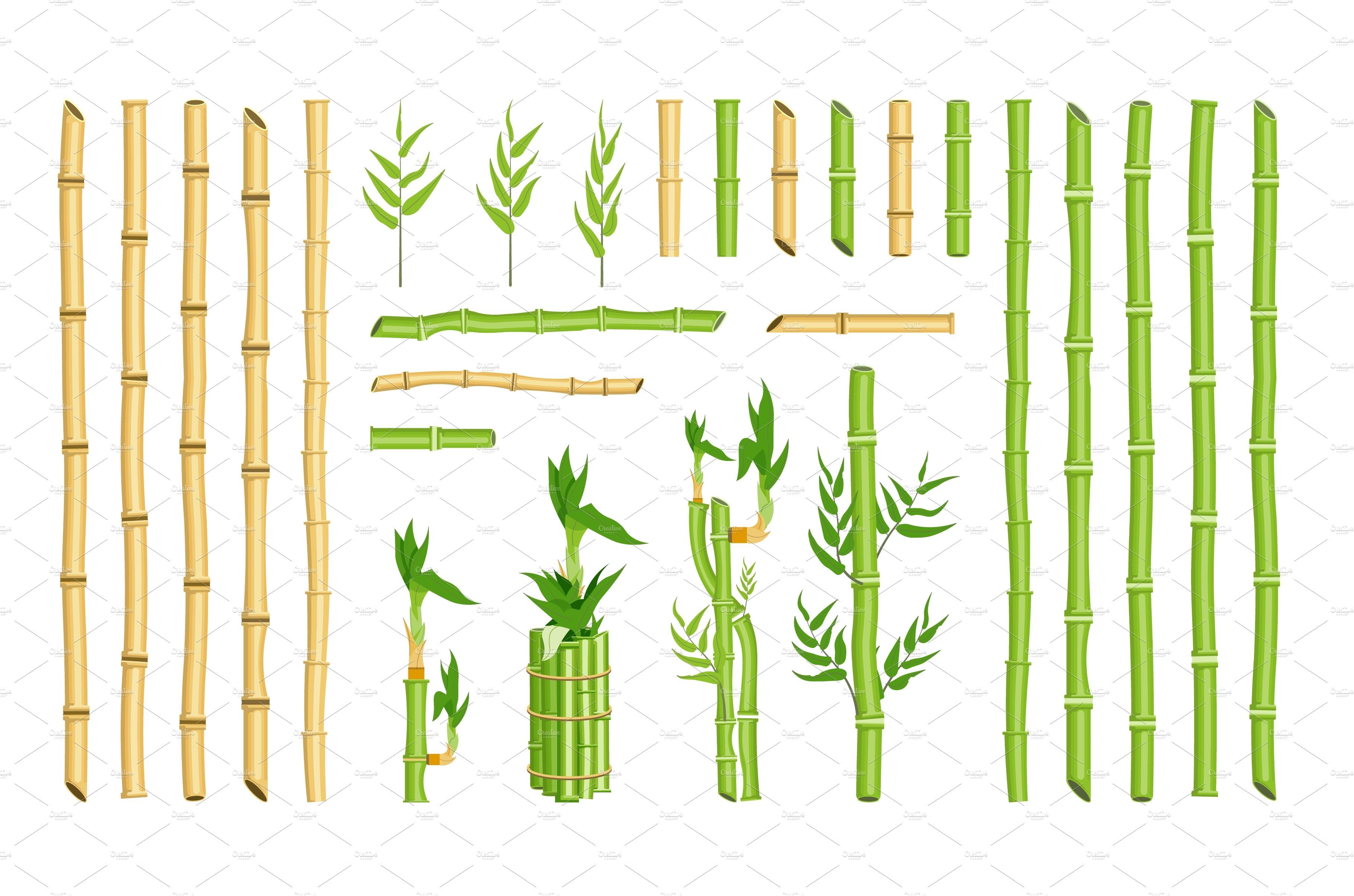 Set of different types of bamboo sticks.