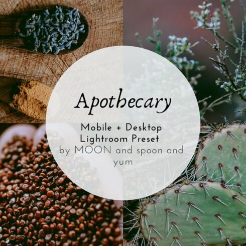 Apothecary Adobe Lightroom Presetcover image.