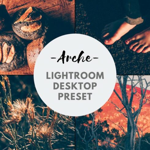 Arche Adobe Lightroom Presetcover image.