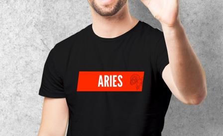 aries preview 850