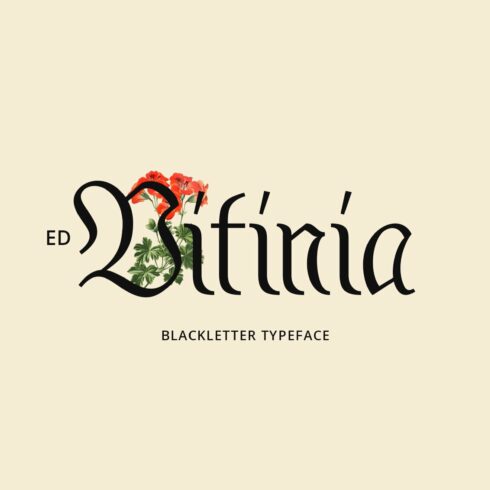 ED Vitinia cover image.