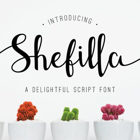 Shefilla - Script Font cover image.