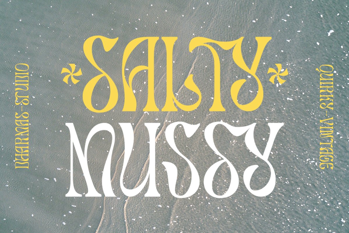 Salty Mussy - Quirky Twisted Display cover image.