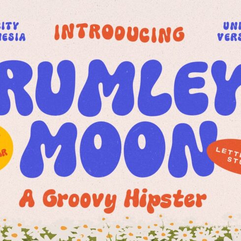 Rumley Moon - Groovy Hipster Font cover image.