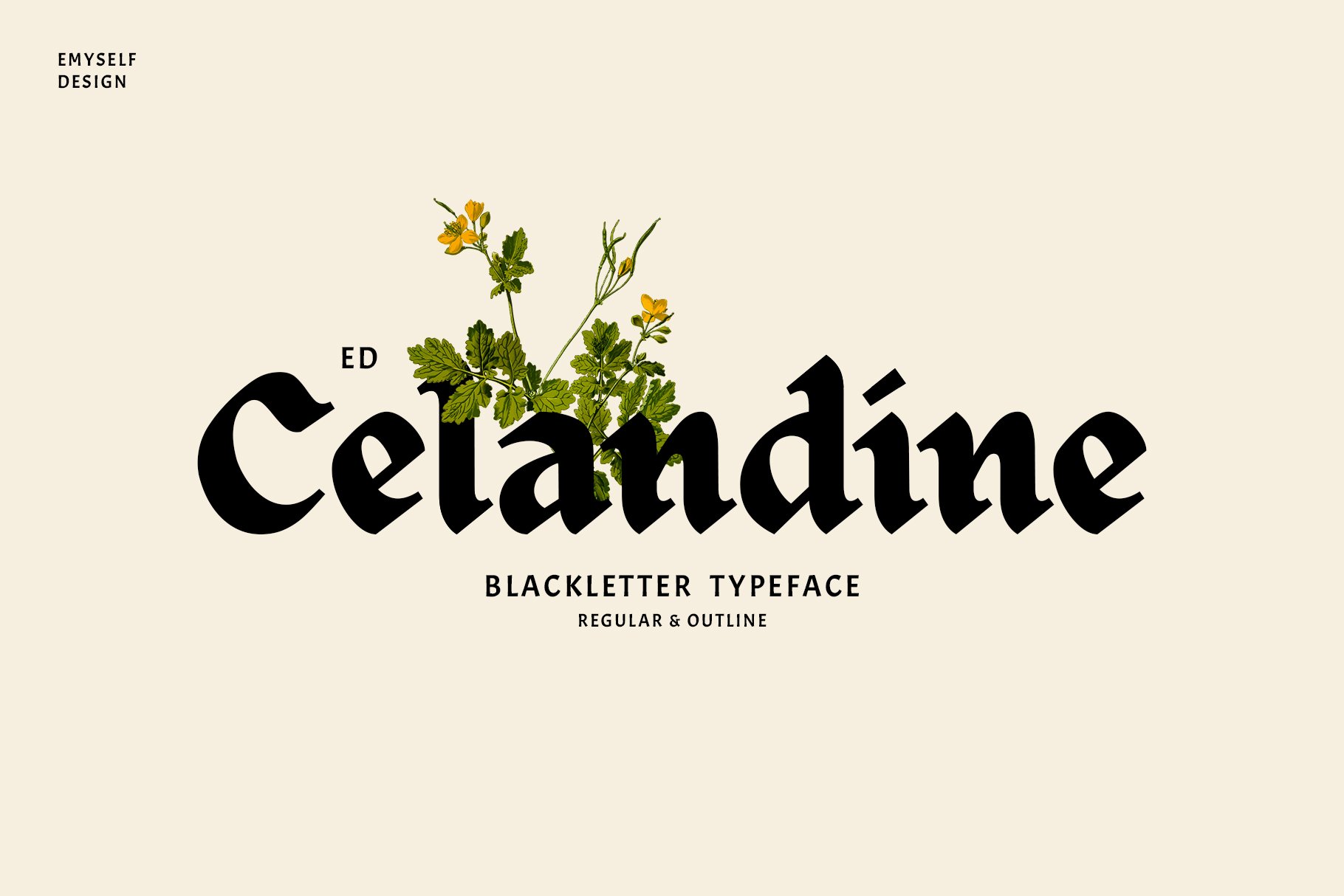 ED Celandine Typeface cover image.