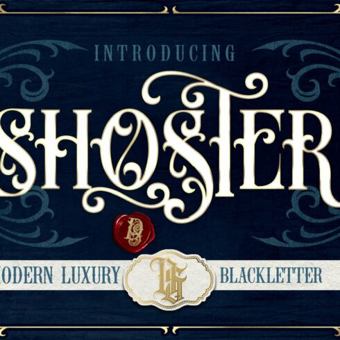 Shoster luxury Blackletter cover image.