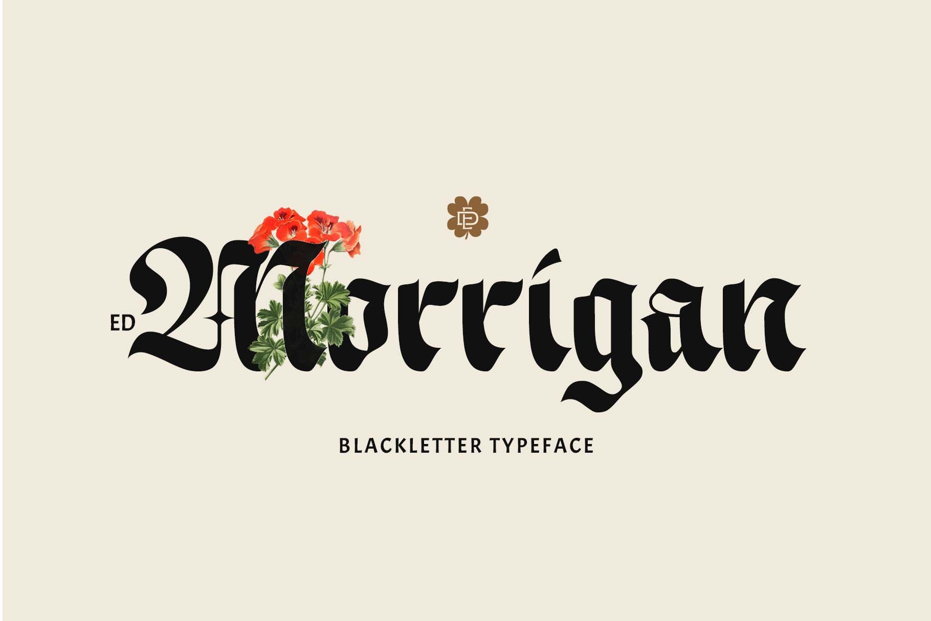 ED Morrigan Typeface preview image.