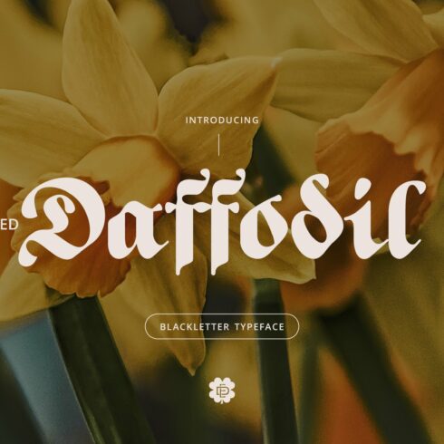 ED Daffodil cover image.