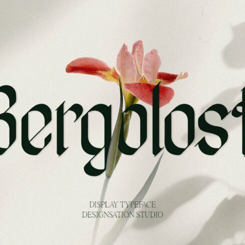 Bergolost Display Typeface cover image.