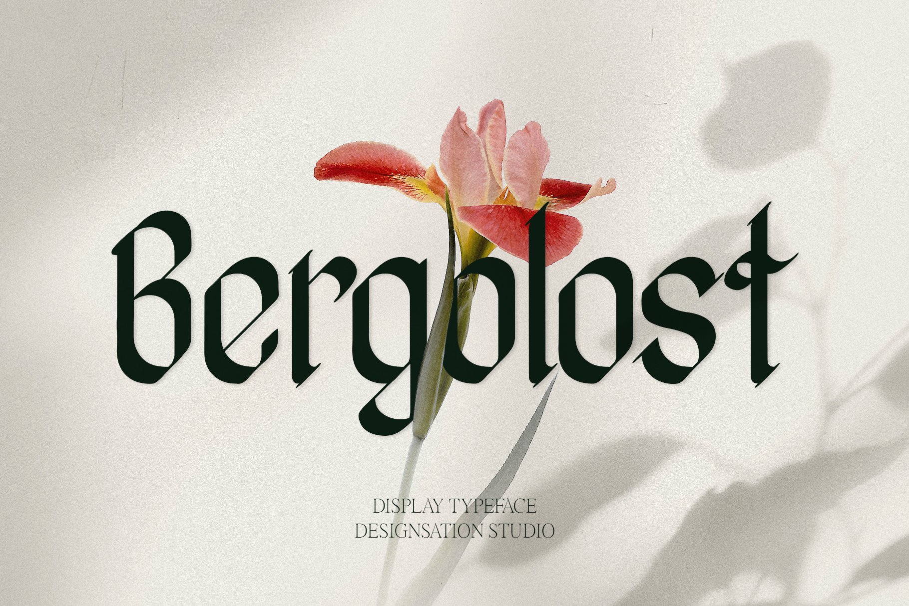 Bergolost Display Typeface cover image.