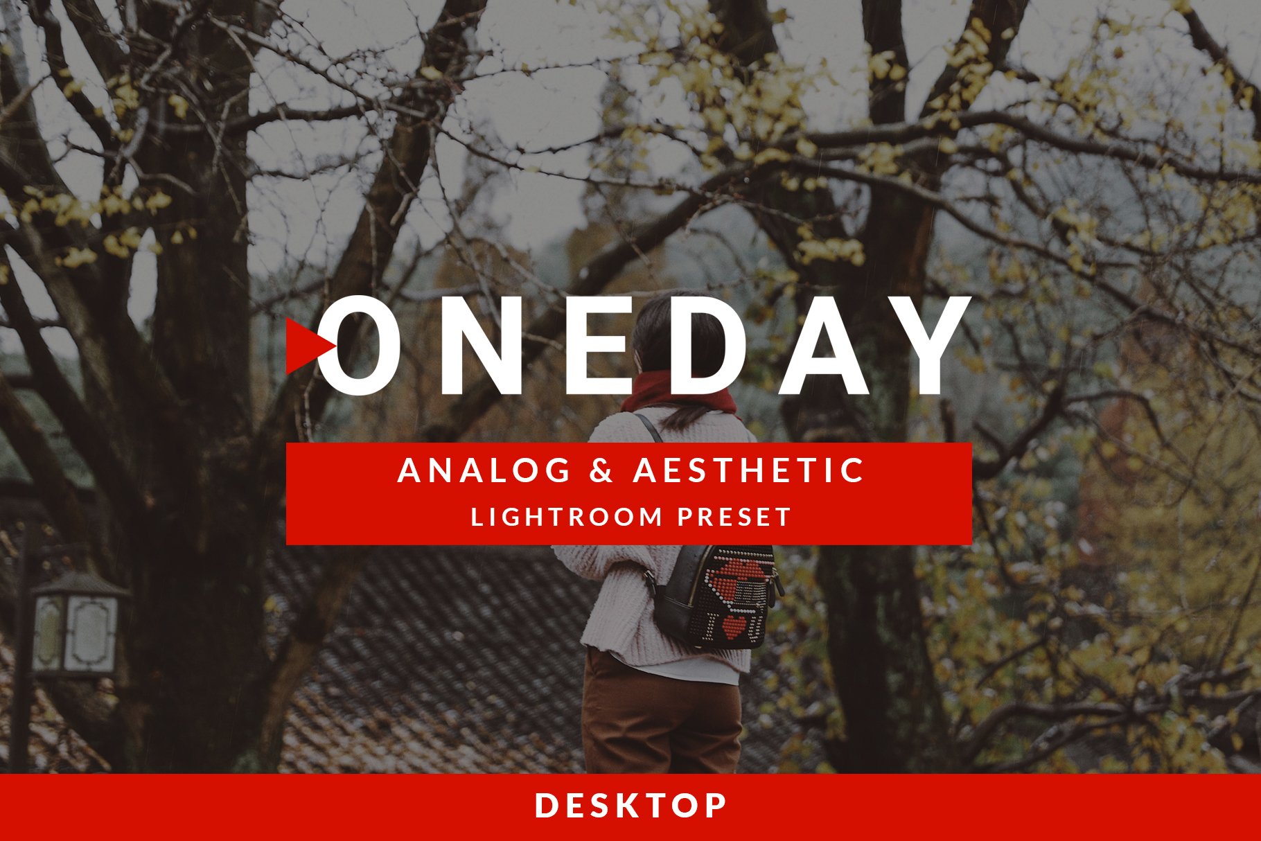 Oneday: Analog & Aesthetic Lr presetpreview image.