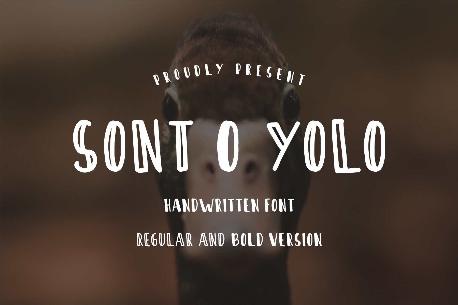 Sont O Yolo - Handwritten Font cover image.