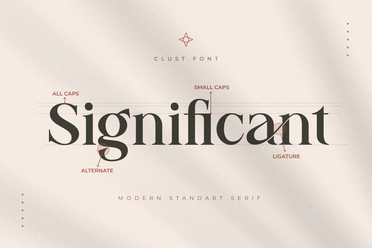Clust - Modern Serif Elegantpreview image.