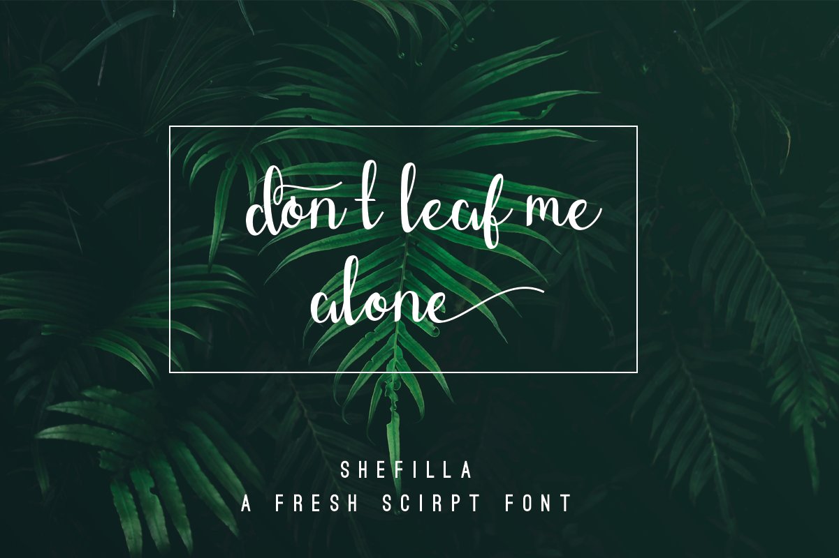 Shefilla - Script Font preview image.