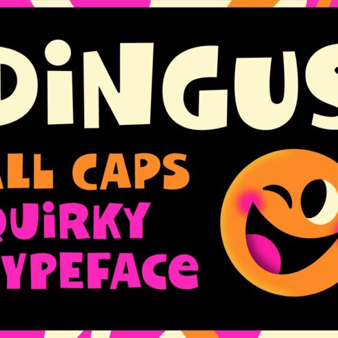 Dingus - Quirky Display Font cover image.