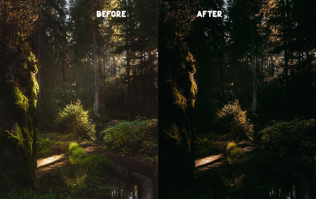 Nature Preset Pack 2preview image.