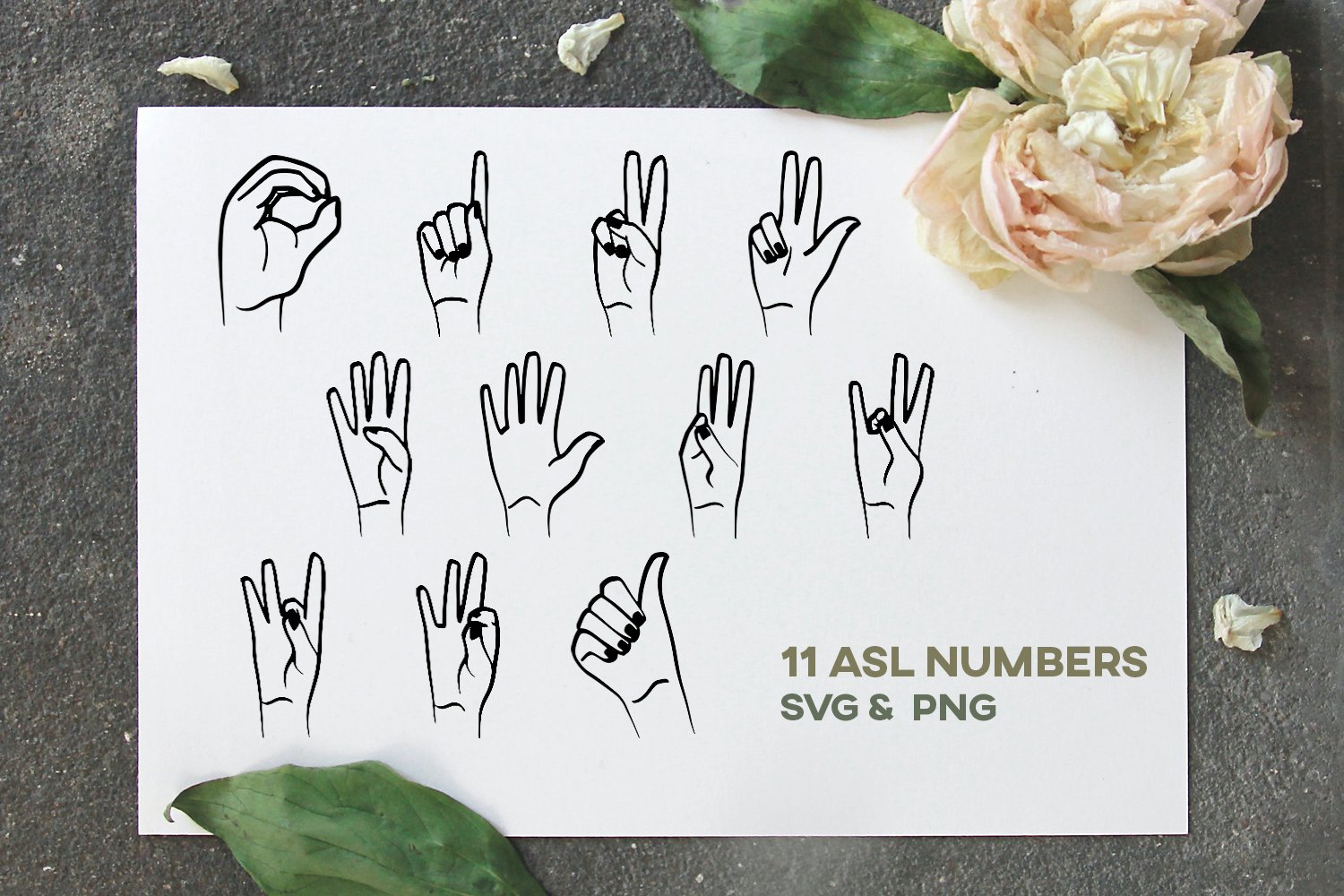 asl numbers preview6 941