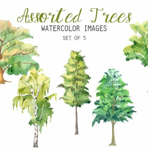 Watercolor trees set of 5.