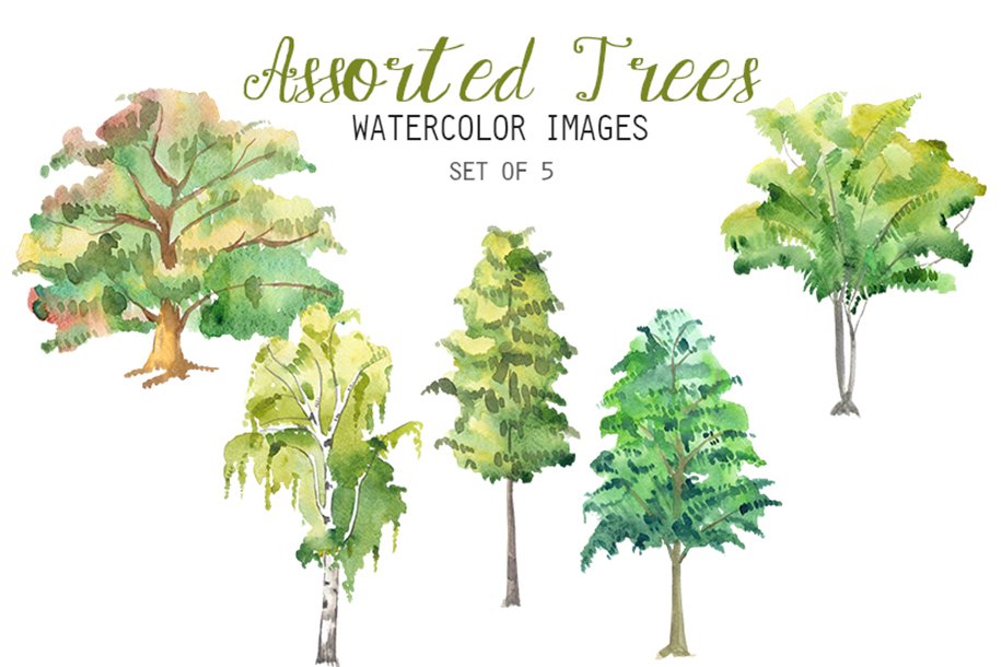 Watercolor trees set of 5.