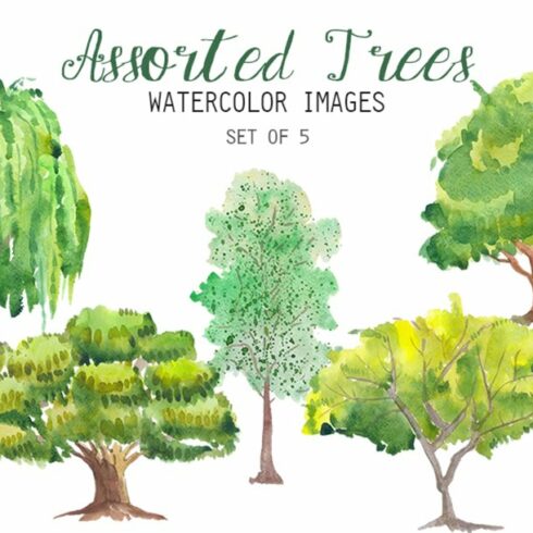 Watercolor trees set of 5.