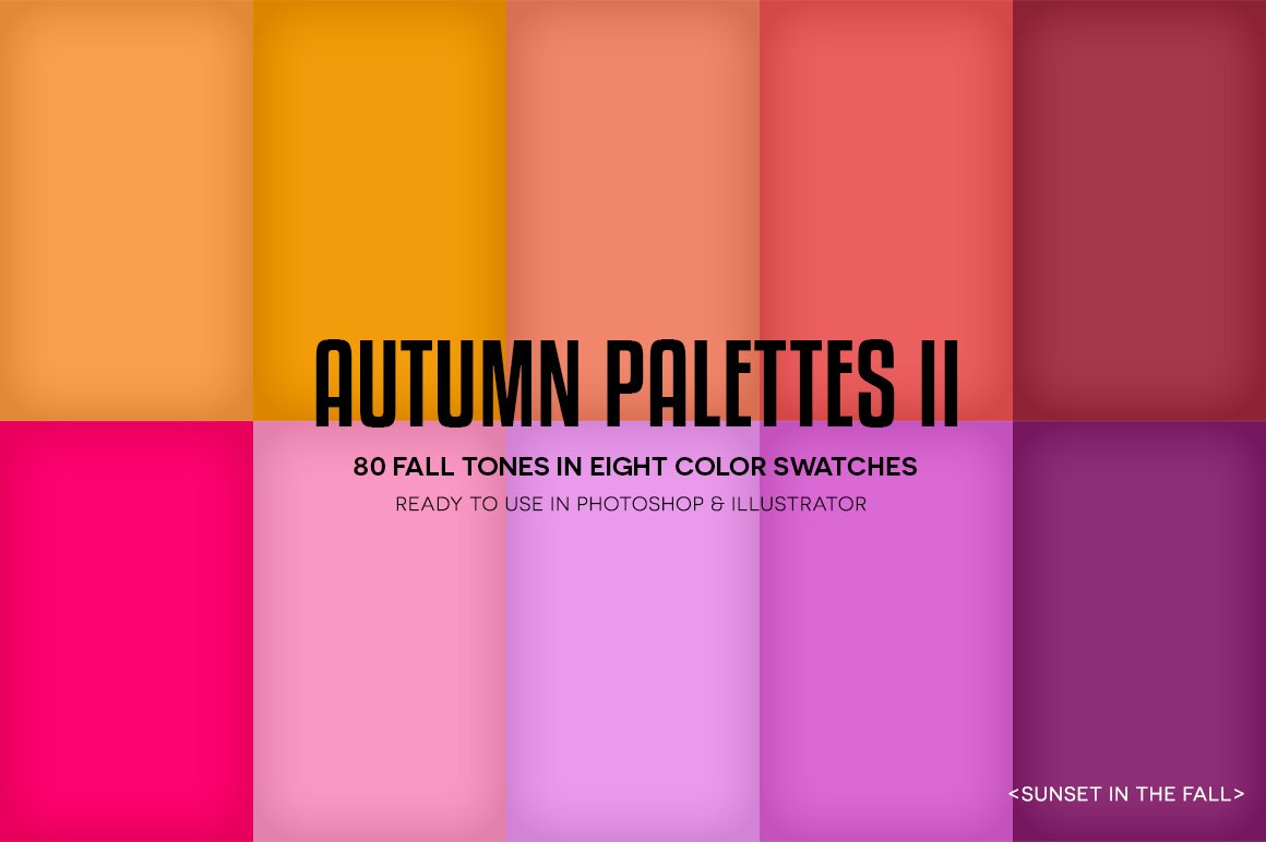 atumnpalettes02display05 999