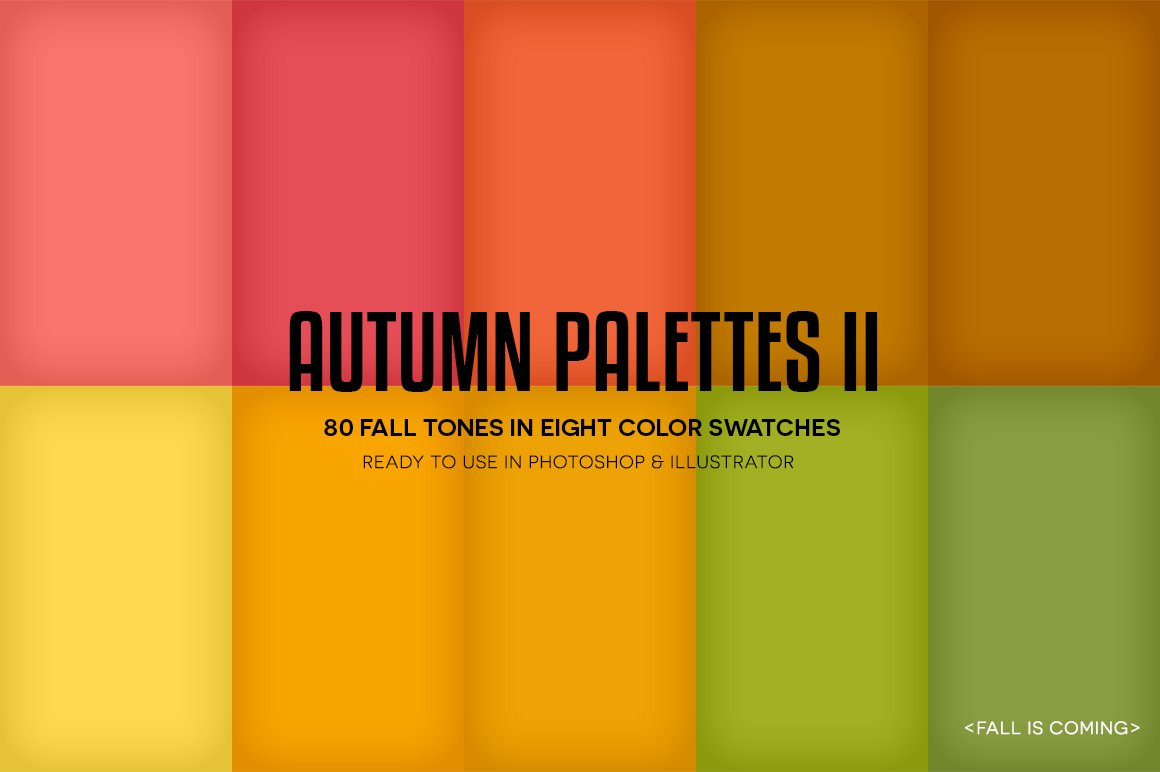 atumnpalettes02display07 401