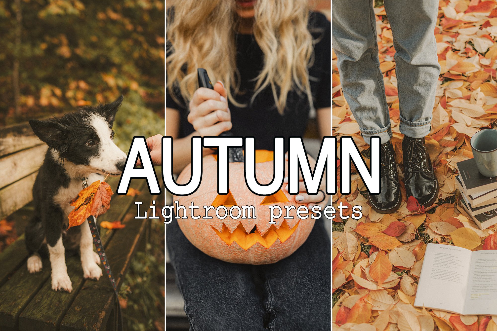 9 Autumn Lightroom Mobile Presetscover image.