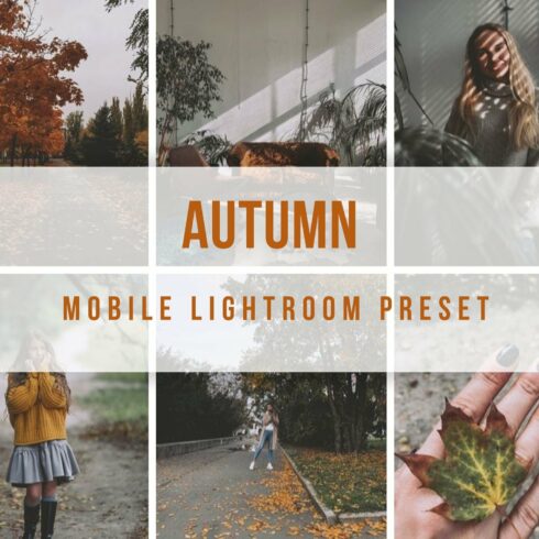 Lightroom Mobile Autumn Presetcover image.