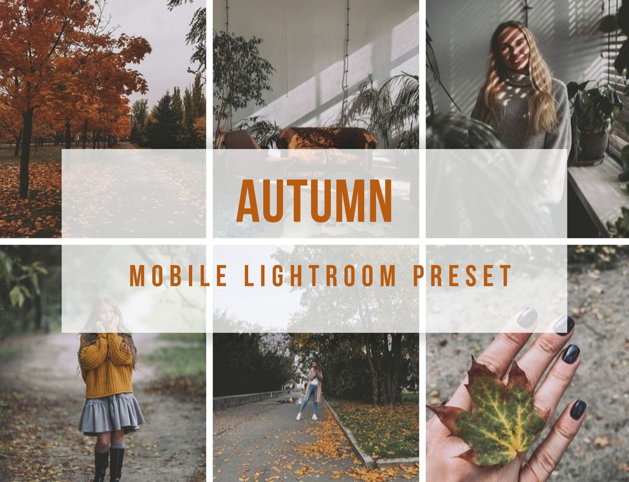 Lightroom Mobile Autumn Presetcover image.