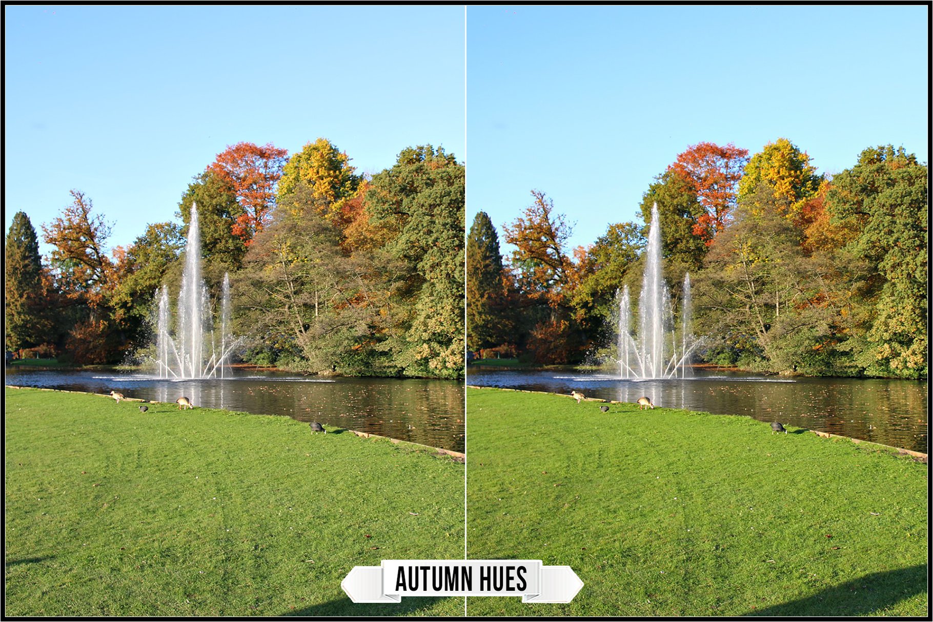 autumn hues 106