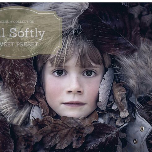 Fall soflty presetcover image.