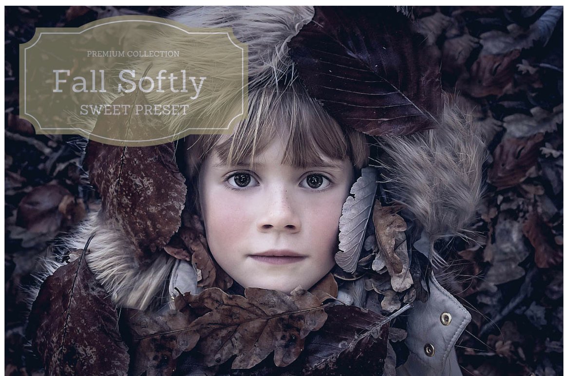 Fall soflty presetcover image.