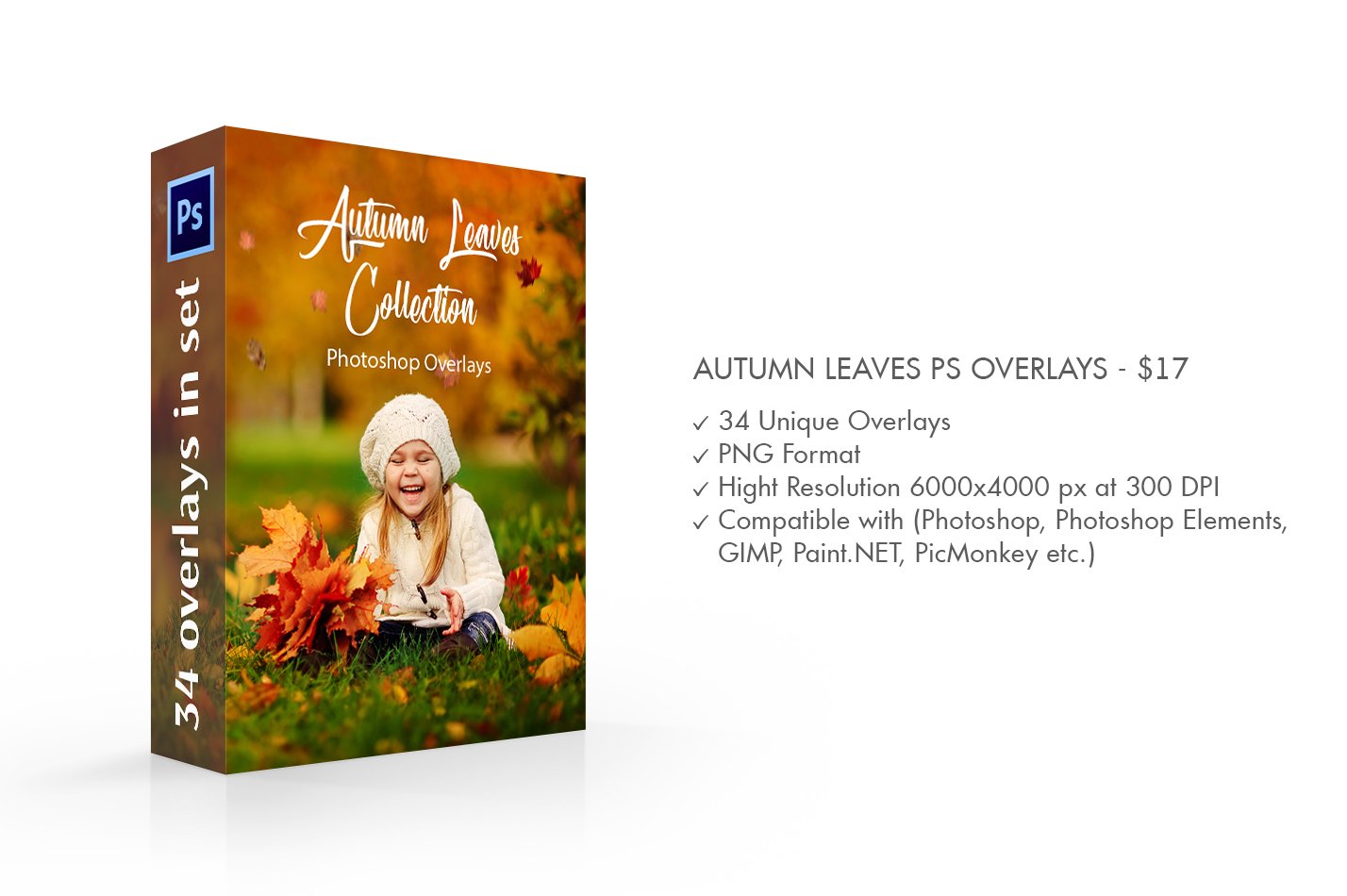 Autumn Leaves Photoshop Overlayspreview image.