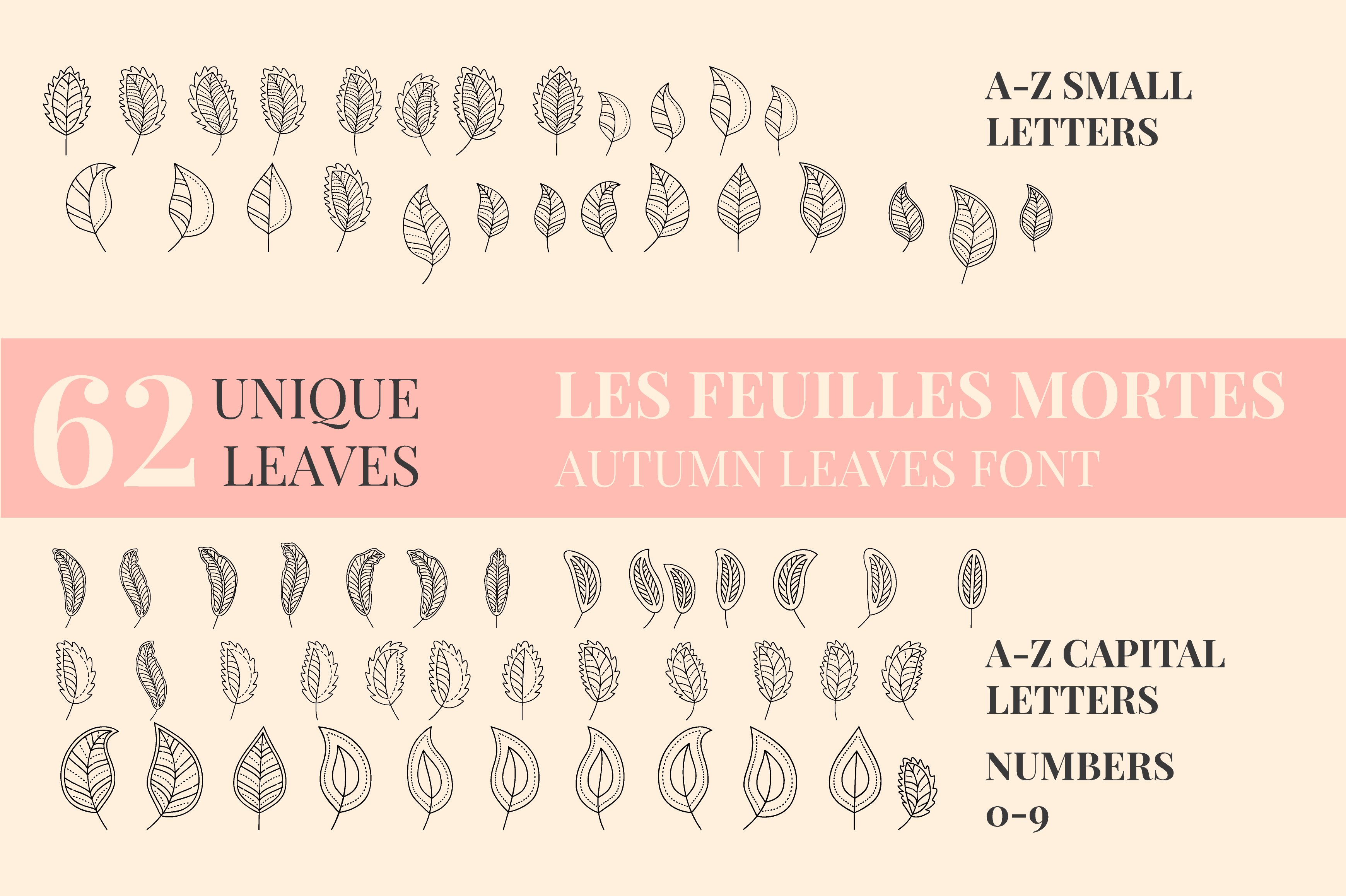 Autumn Leaves Dingbats Font preview image.