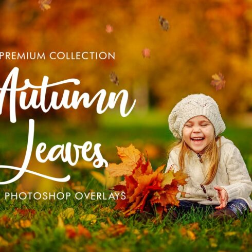 Autumn Leaves Photoshop Overlayscover image.