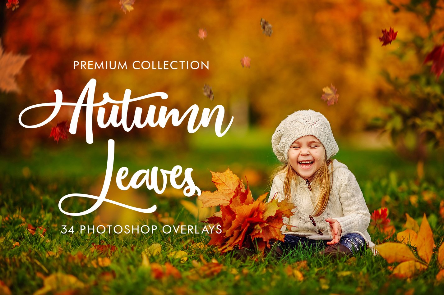 Autumn Leaves Photoshop Overlayscover image.