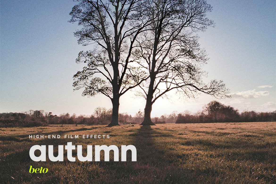Autumn Actioncover image.