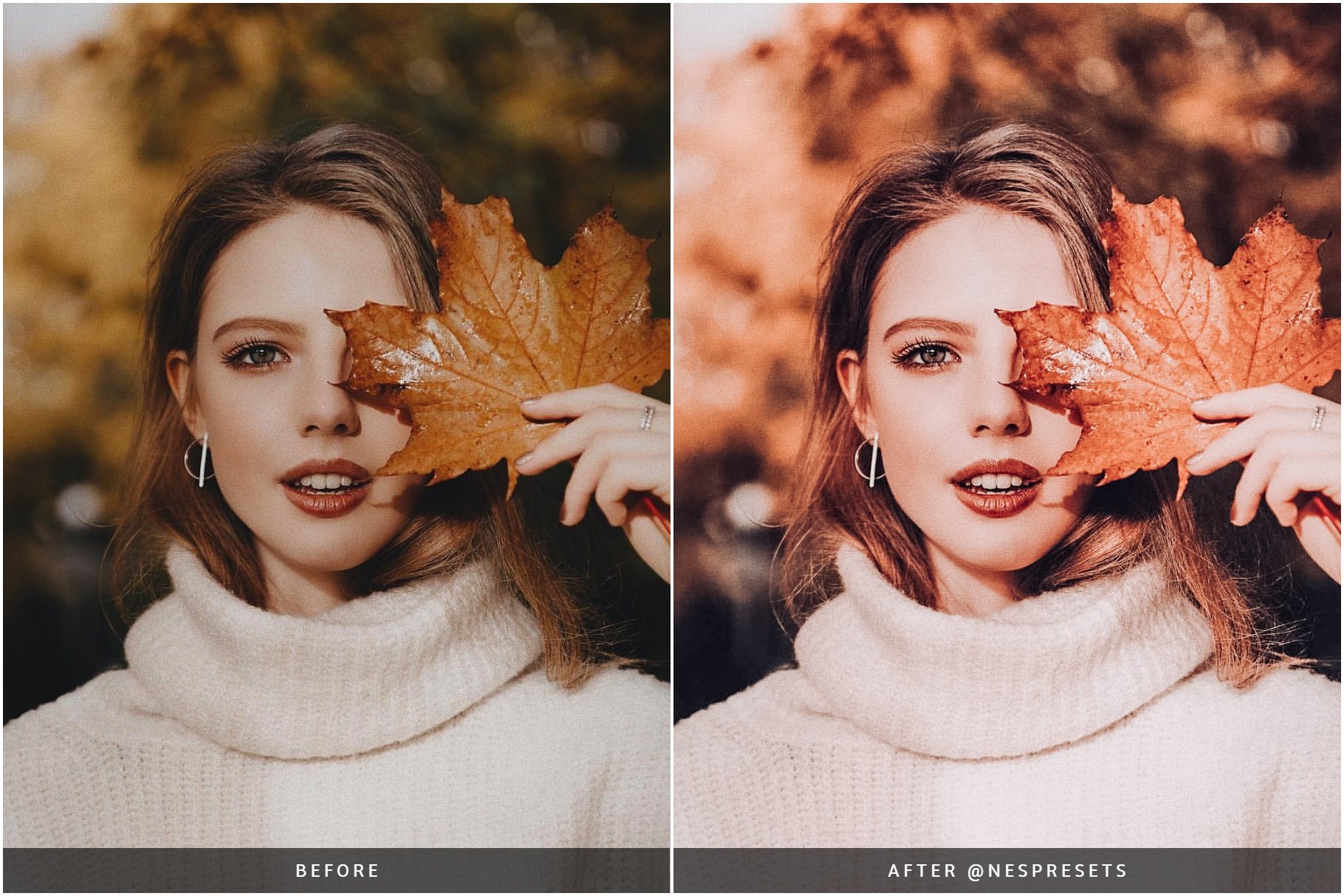 autumn preset preview 03 631