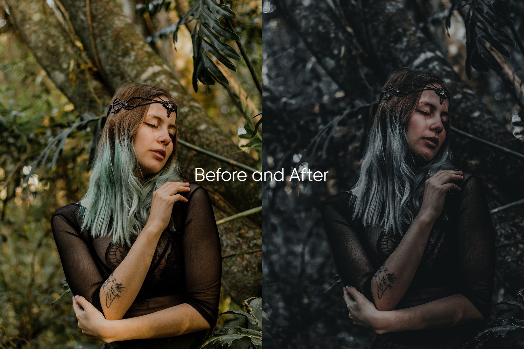 ba3 dark oak presets for lightroom 75