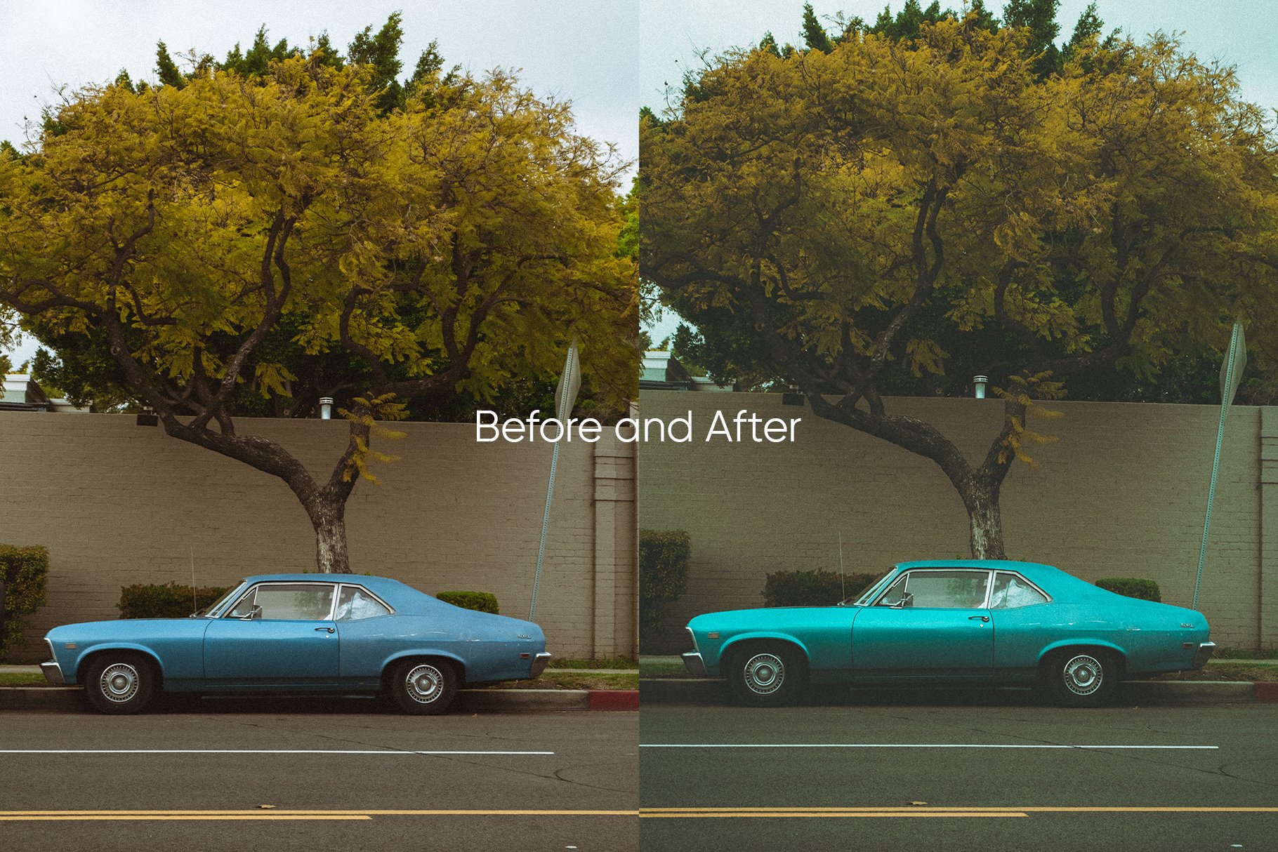 ba6 film look oak presets for lightroom 781